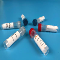 无损伤钙离子探针“GCaMP-X”