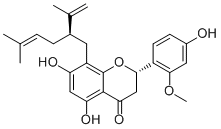 Leachianone A97938-31-3