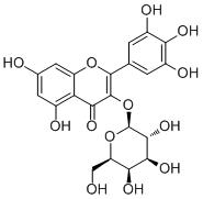 杨梅素-3-O-半乳糖苷15648-86-9