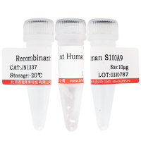 重组人细胞色素C(CYCS)现货供应