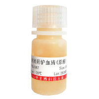 Hyclone新西兰加强型小牛血清价格