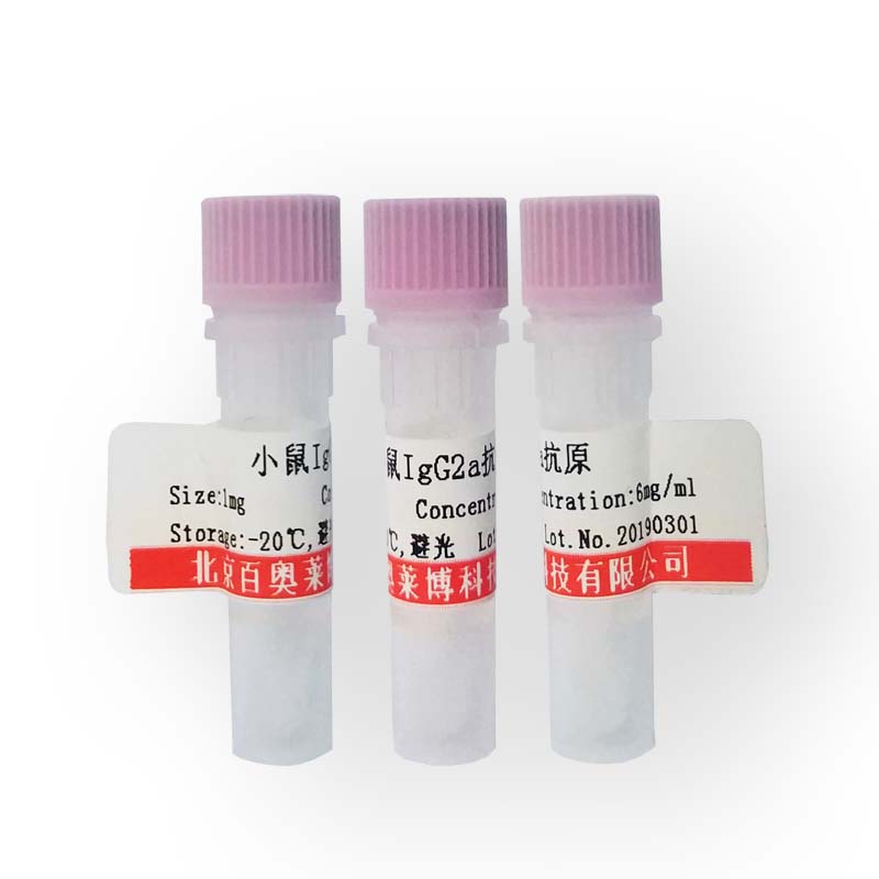 HRP标记抗幽门螺杆菌尿素酶抗体北京品牌