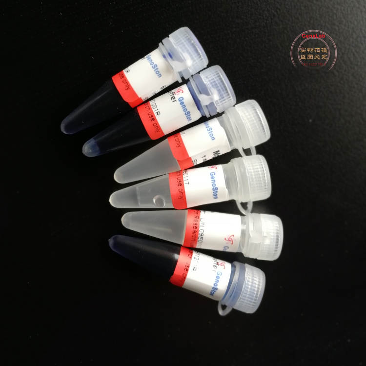 荧光定量PCR Mix