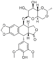 Etoposide33419-42-0