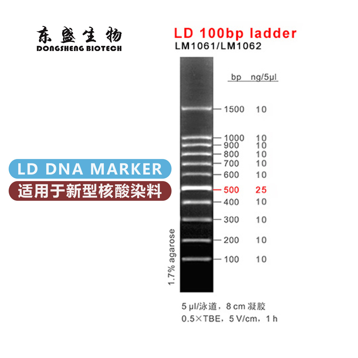 东盛LD 100bp ladder 新型染料专用DNA Marker (LM1061-LM1062)