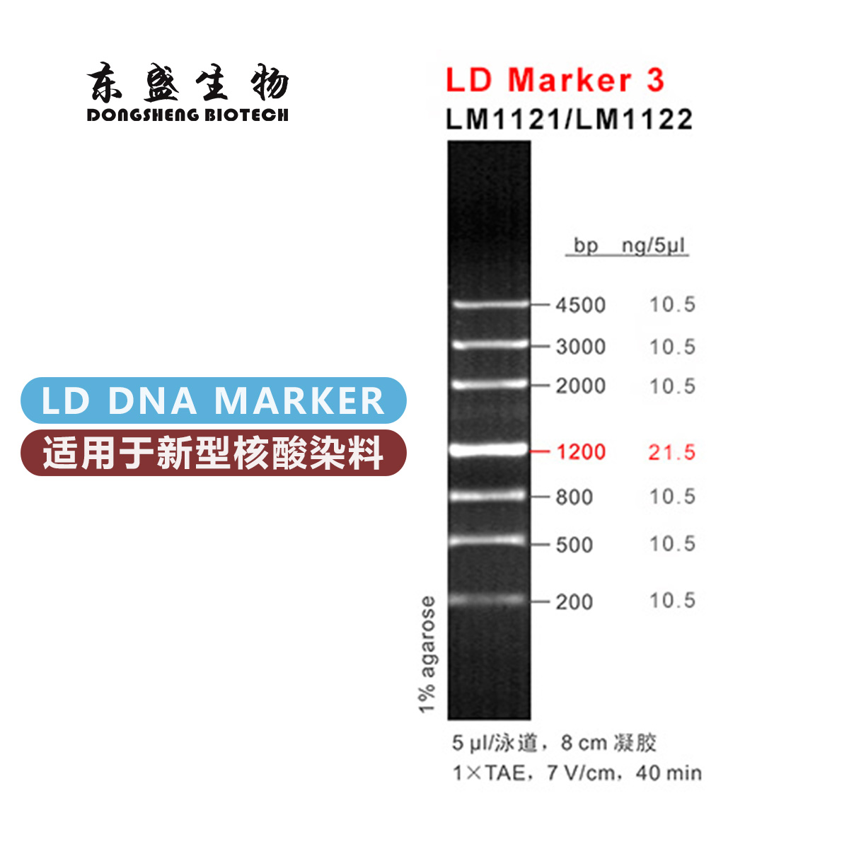 东盛LD Marker 3 新型染料专用DNA Marker (LM1121-LM1122)