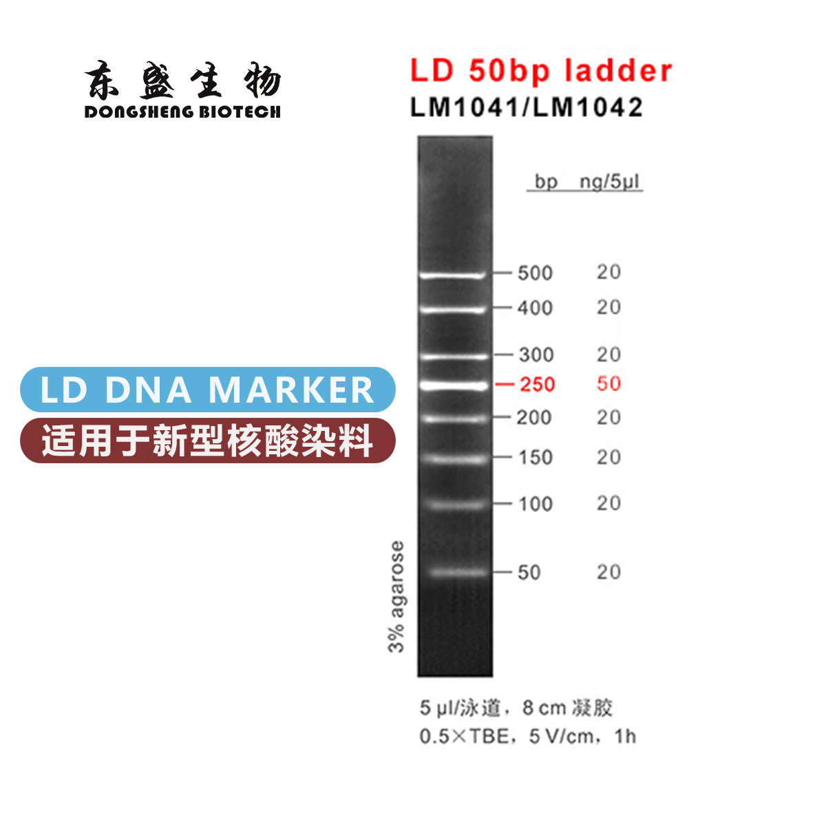 东盛LD 50bp ladder 新型染料专用DNA Marker (LM1041-LM1042)