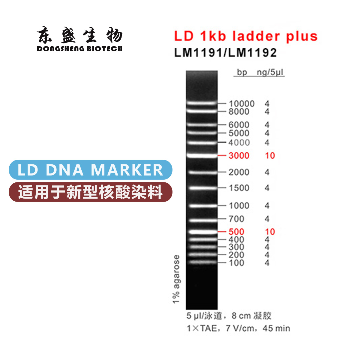 东盛LD 1kb ladder plus 新型染料专用DNA Marker (LM1191-LM1192)