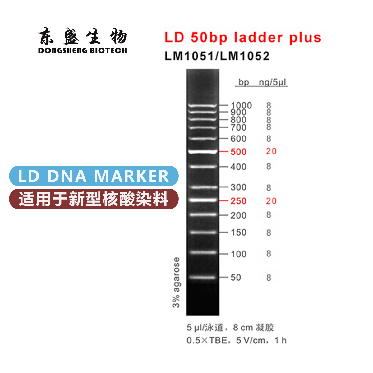 东盛LD 50bp ladder plus 新型染料专用DNA Marker (LM1051-LM1052)