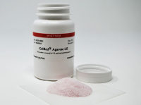 GelRed® Agarose LE Biotium 41029