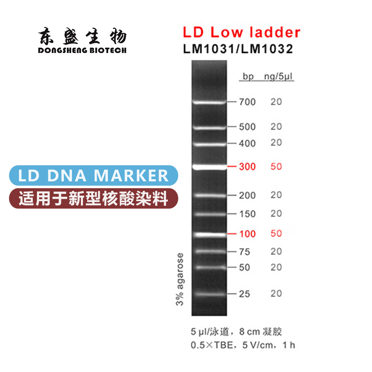 东盛LD low ladder 新型染料专用DNA Marker (LM1031-LM1032)