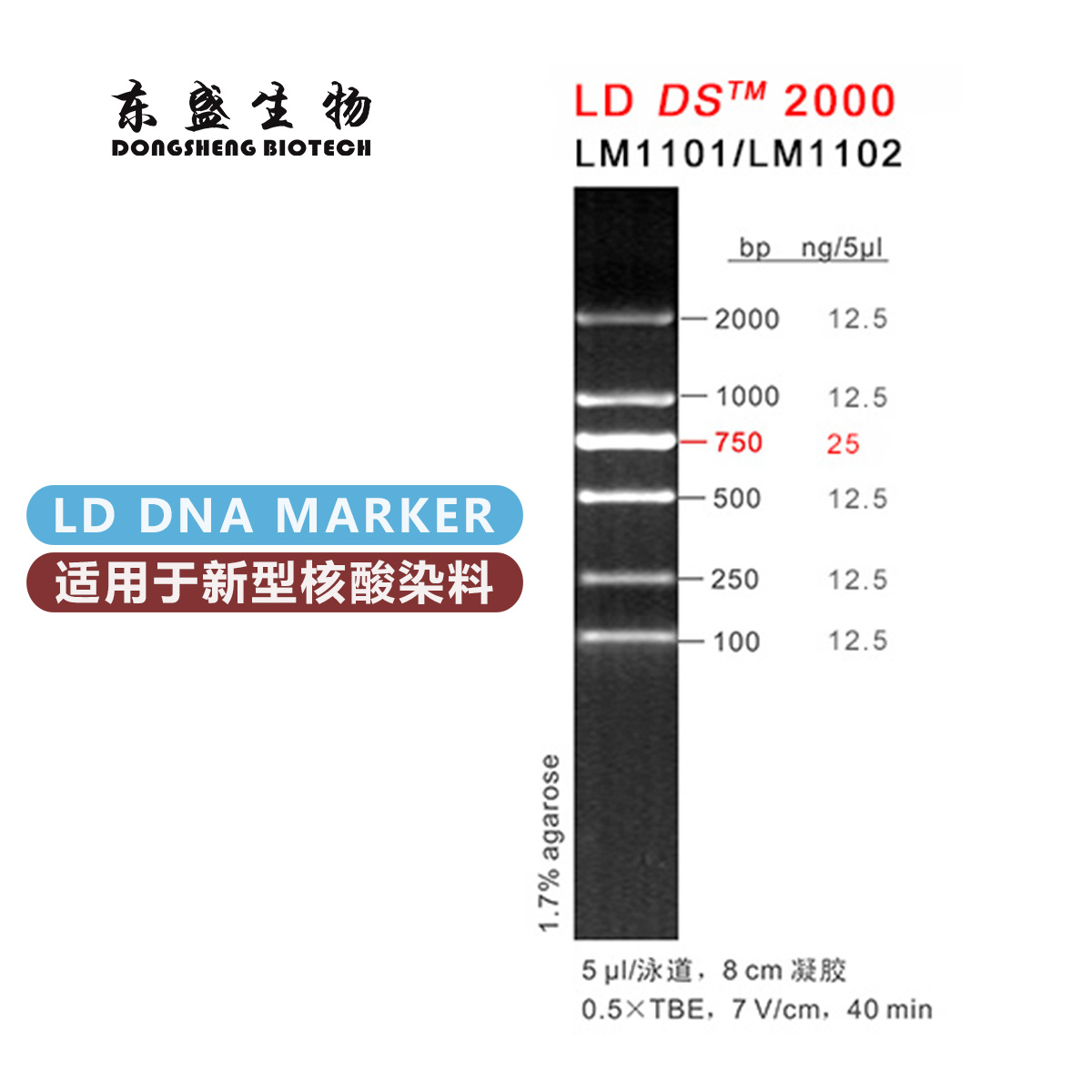 东盛LD DS2000 新型染料专用DNA Marker (LM1101-LM1102)