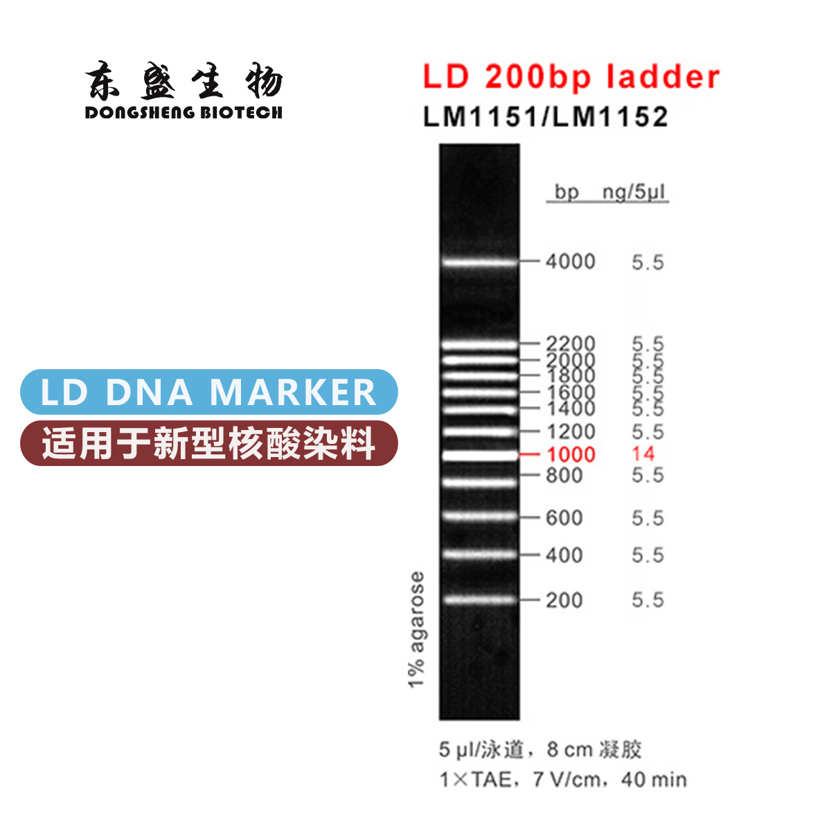 东盛LD 200bp ladder 新型染料专用DNA Marker (LM1151-LM1152)