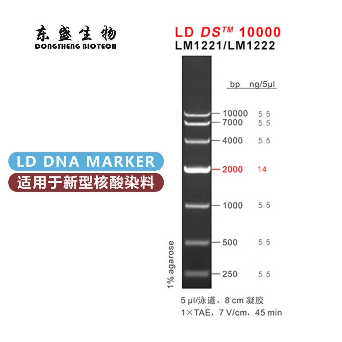 東盛LD DS10000 新型染料專用DNA Marker (LM1221-LM1222)