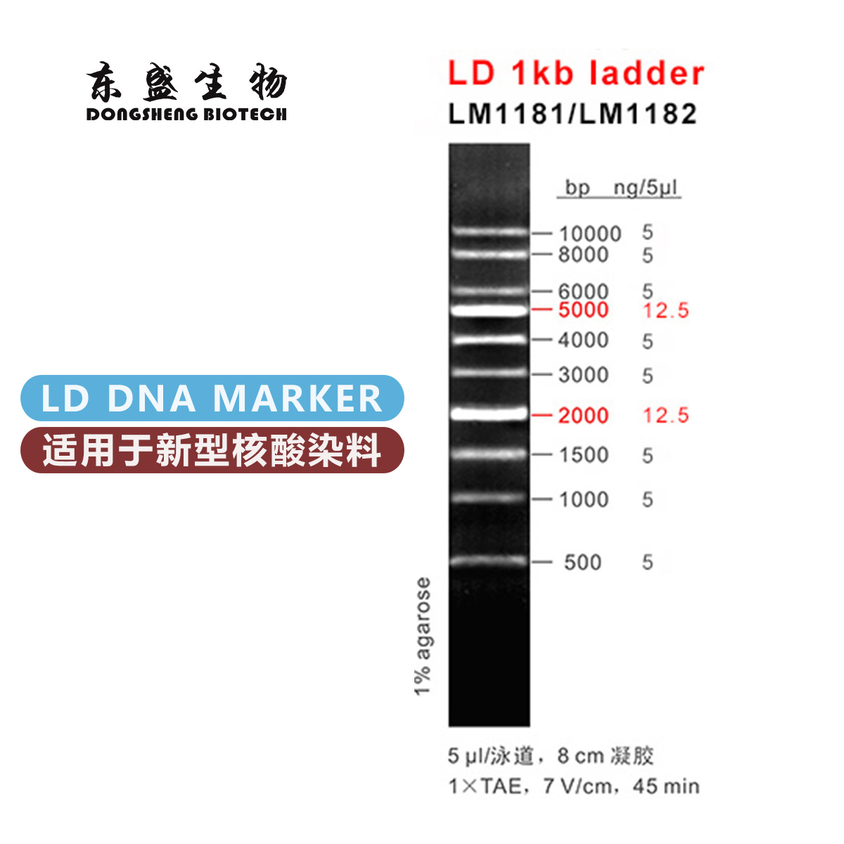 东盛LD 1kb ladder 新型染料专用DNA Marker (LM1181-LM1182)