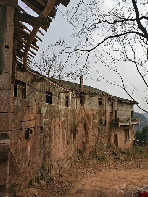 路过固始黄山医院 也就是河南省麻风病医院 急救与危重病讨论版 丁香园论坛