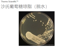 Thermo Scientific™ Oxoid™ 沙氏葡萄糖琼脂（脱水）CM0041B