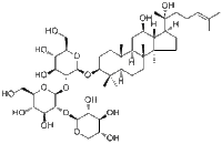 Notoginsenoside Ft1155683-00-4