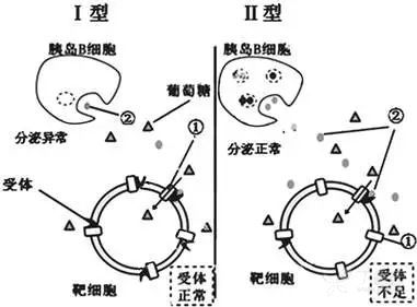 3357406648640737296-8w.jpg