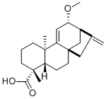 12α-Methoxygrandiflorenic acid品牌