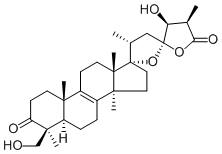Scillascillone2023822-40-2