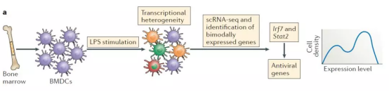 技术分享  免疫细胞异质性1782.png
