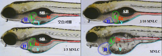 image1.png
