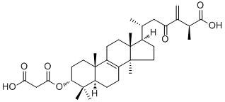 24(31)-Dehydrocarboxyacetylquercinic acid127970-62-1