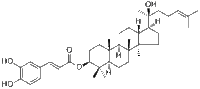 Dammarenediol II 3-O-caffeate171438-55-4