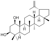 3-Epiglochidiol29028-10-2