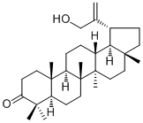 30-Hydroxylup-20(29)-en-3-one72944-06-0