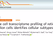 文献解读：10× Genomics单细胞转录组测序确定视网膜神经节细胞亚型