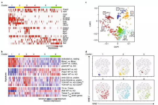 单细胞和TCR测序揭示了调节性T细胞的表型图谱1600.png