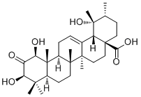 1β-Hydroxy-2-oxopomolic acid21