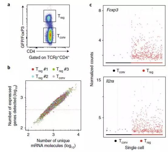单细胞和TCR测序揭示了调节性T细胞的表型图谱442.png