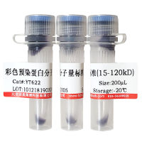 胰酶细胞消化液北京供应商