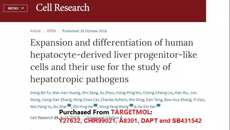 肝细胞体外培养技术新突破!HBV治疗有望