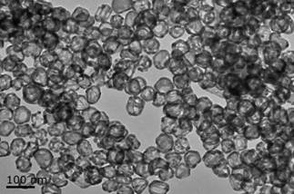 生物靶向性小分子修饰的磁性纳米颗粒制备