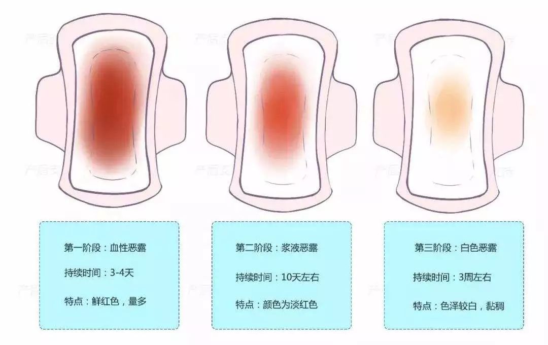 产褥期生理变化与保健
