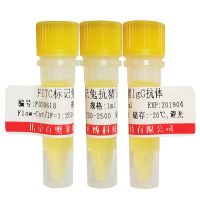 小鼠单克隆抗体Ig类/亚类鉴定HRP酶标二抗套装(即用型)