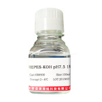 DNA聚合酶I(大肠杆菌)优惠促销