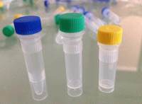 造血干细胞抗原CD133抗体