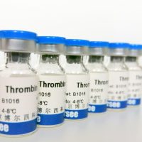牛凝血酶(TT、FIB凝血试剂配制)