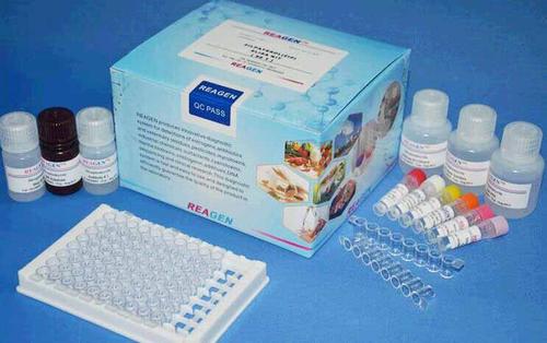 人β半乳糖苷酶(βGAL)ELISA试剂盒