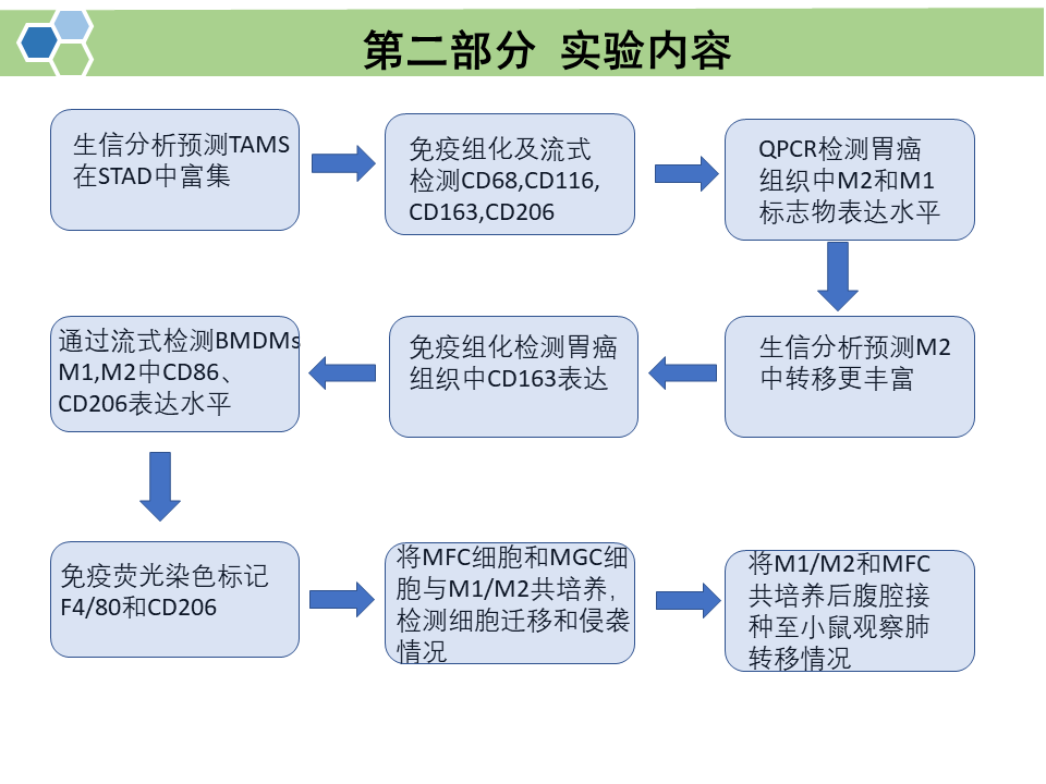 肿瘤相关巨噬细胞来源的外泌体通过传递APOE促进胃癌细胞的迁移