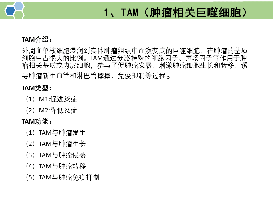 肿瘤相关巨噬细胞来源的外泌体通过传递APOE促进胃癌细胞的迁移