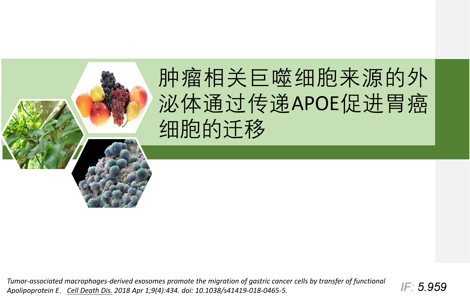 肿瘤相关巨噬细胞来源的外泌体通过传递APOE促进胃癌细胞的迁移