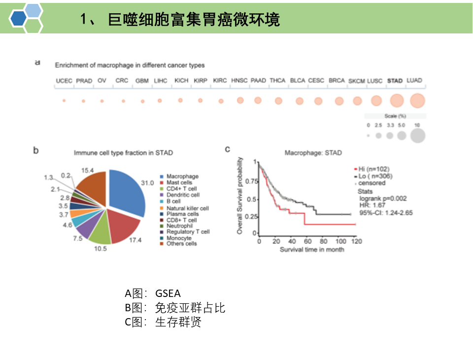 肿瘤相关巨噬细胞来源的外泌体通过传递APOE促进胃癌细胞的迁移