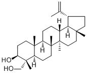 Lup-20(29)-ene-3β,23-diol163060-07-9