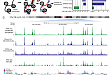 10× Genomics 单细胞 ATAC-seq 应用解析